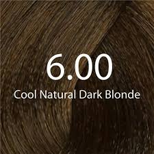 Eazicolor Permanent Hair Color (Cool Natural Dark Blonde 6.00)