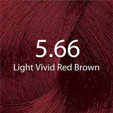 Eazicolor Permanent Hair Color (Light Vivid Red Brown 5.66)