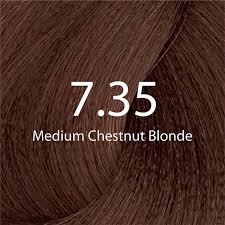 Eazicolor Permanent Hair Color (Medium Chestnut Blonde 7.35)